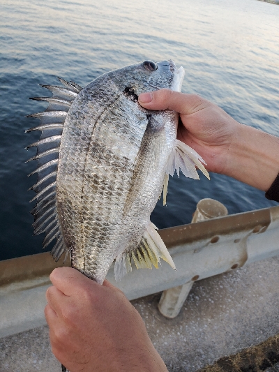 渋い中での釣果