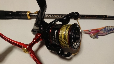 雨と風と寒さと