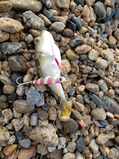 比較的暖かい日