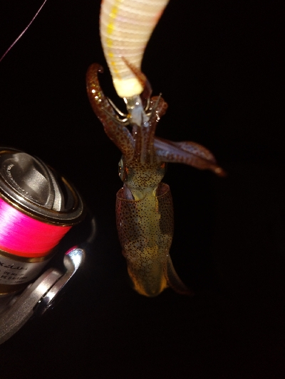 激シブヒイカゲーム