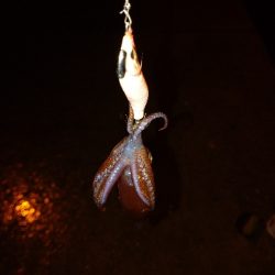 雨降りヒイカゲーム