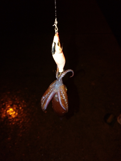 雨降りヒイカゲーム