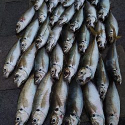 和歌山は長崎になったのか