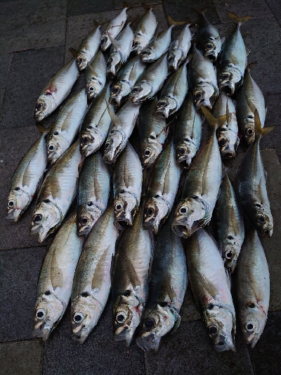 和歌山は長崎になったのか