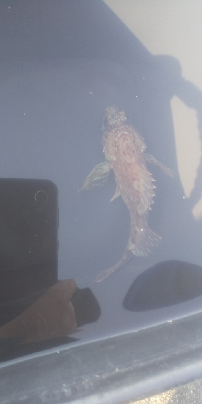 オモック初釣行