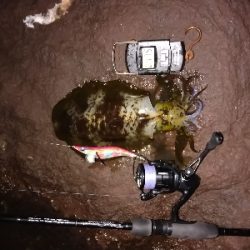 ランガンスタイル