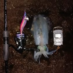 潮目の中で。。