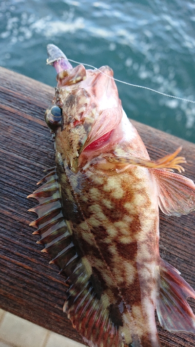 南港ガシリング