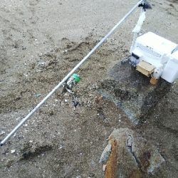 室津のキス釣り