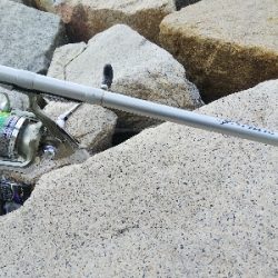 室津のキス釣り