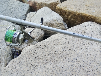 室津のキス釣り