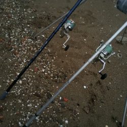 室津のキス釣り