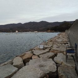 室津のキス釣り