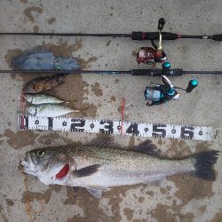 予想外の大物で締め括り