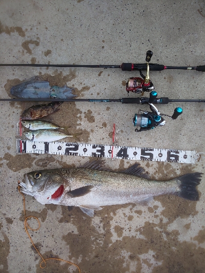 予想外の大物で締め括り