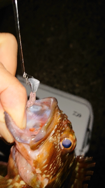 そろそろメバリング