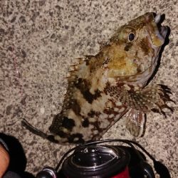 19ヴァンキッシュ2台目の鱗つけ