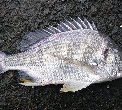 寒くなる前に。