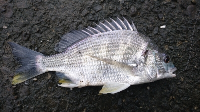 寒くなる前に。