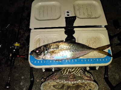 雰囲気読まない奴