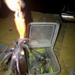 地合いは突然＼(^o^)／