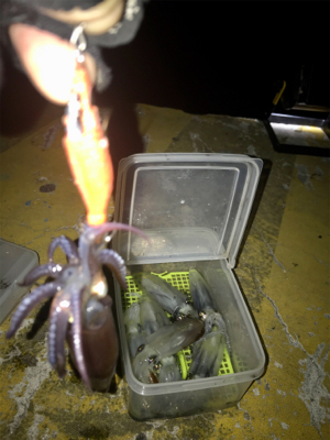 地合いは突然＼(^o^)／