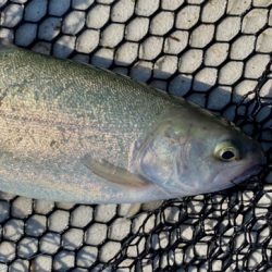 岸和田フィッシングパーク