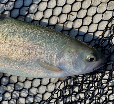 岸和田フィッシングパーク