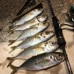 ちょっとだけアジング