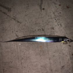 太刀魚リベンジ