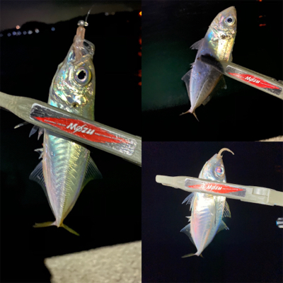 アジミルクバチオキアミ赤ラメ