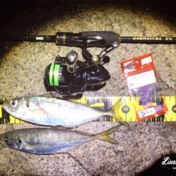 レガーメ牙突鱗付