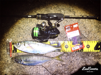 レガーメ牙突鱗付