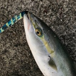 諦めていたけど