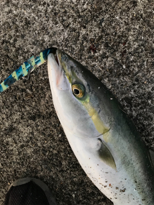 諦めていたけど