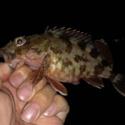 そろそろ厳しくなってきました