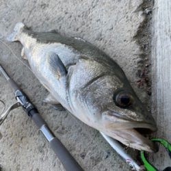 中古ルアー爆発