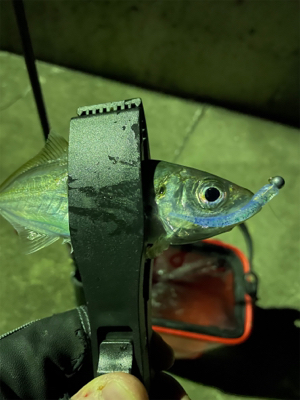 夜中　ライトゲーム