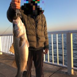 ファミリーフィッシング