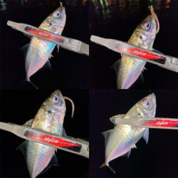 激流ポイントを攻略