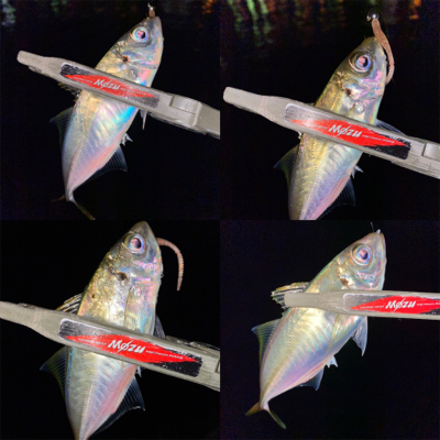 激流ポイントを攻略