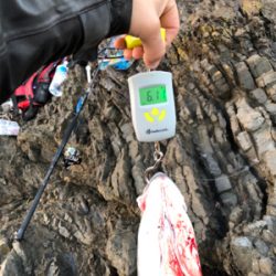 朝一トップ炸裂！！！