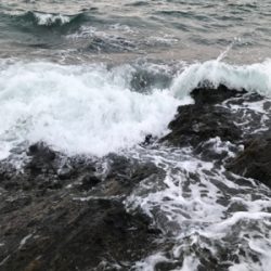 サイズアップならず