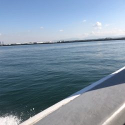 アジに、イワシに、サヨリ！堤防からのライトな釣りを満喫