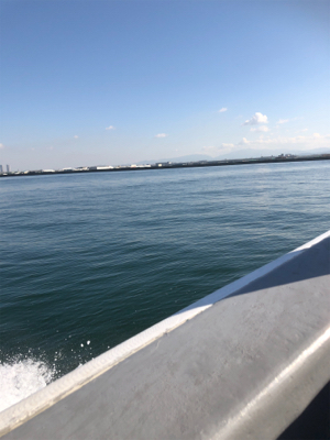 アジに、イワシに、サヨリ！堤防からのライトな釣りを満喫