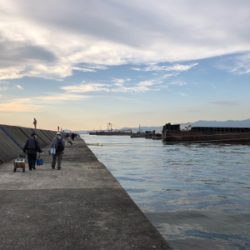 ドラゴンには出会えませんでしたが・・・