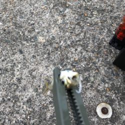 小あじ大量発生