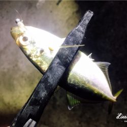 シゴオワアジング