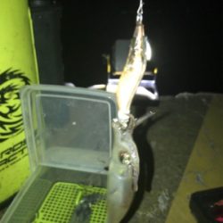 やっぱり渋いヒイカ釣り(><)