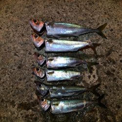 サバが食べたくて